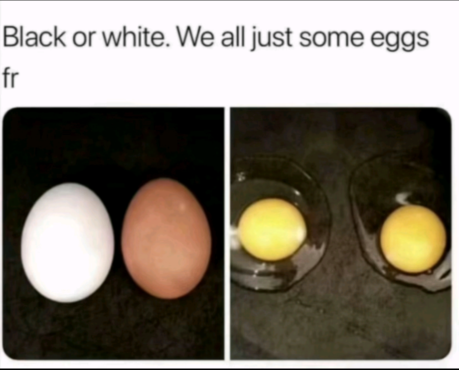 A picture of a white and a brown egg with a picture of two egg yolks beside it. The caption reads: "Black or white. We all just some eggs fr"