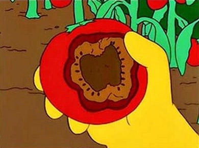 The tomacco (Tomato bred to be filled with Tobacco) from Simpsons