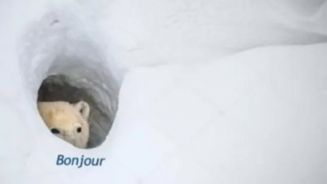 Bonjour.jpg