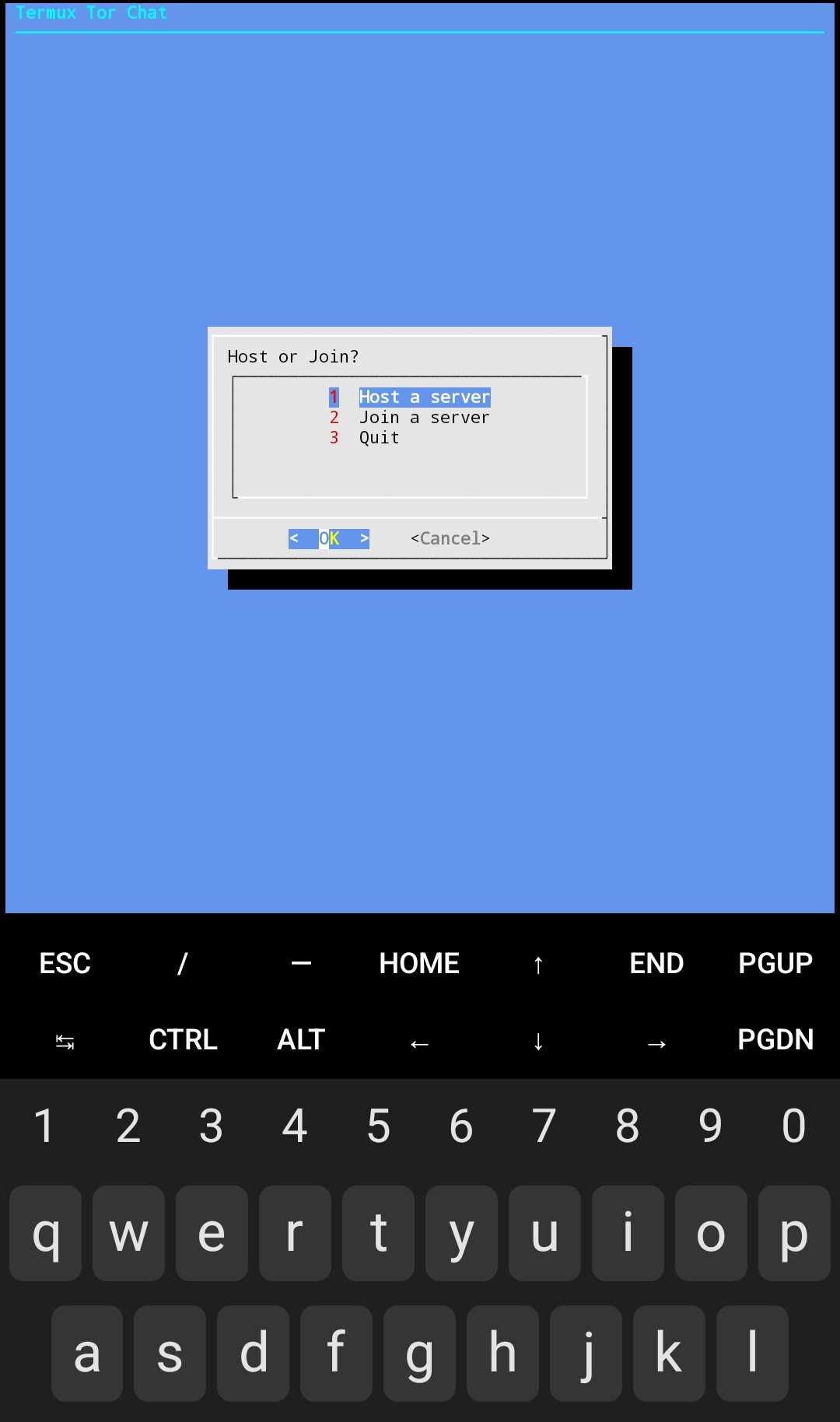 here is another screenshot of how it looks after install