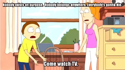 Morty Smith from Rick and Morty pleads with his sister, Summer. The caption reads, "Nobody exists on purpose. Nobody belongs anywhere. Everybody's gonna die. Come watch TV."