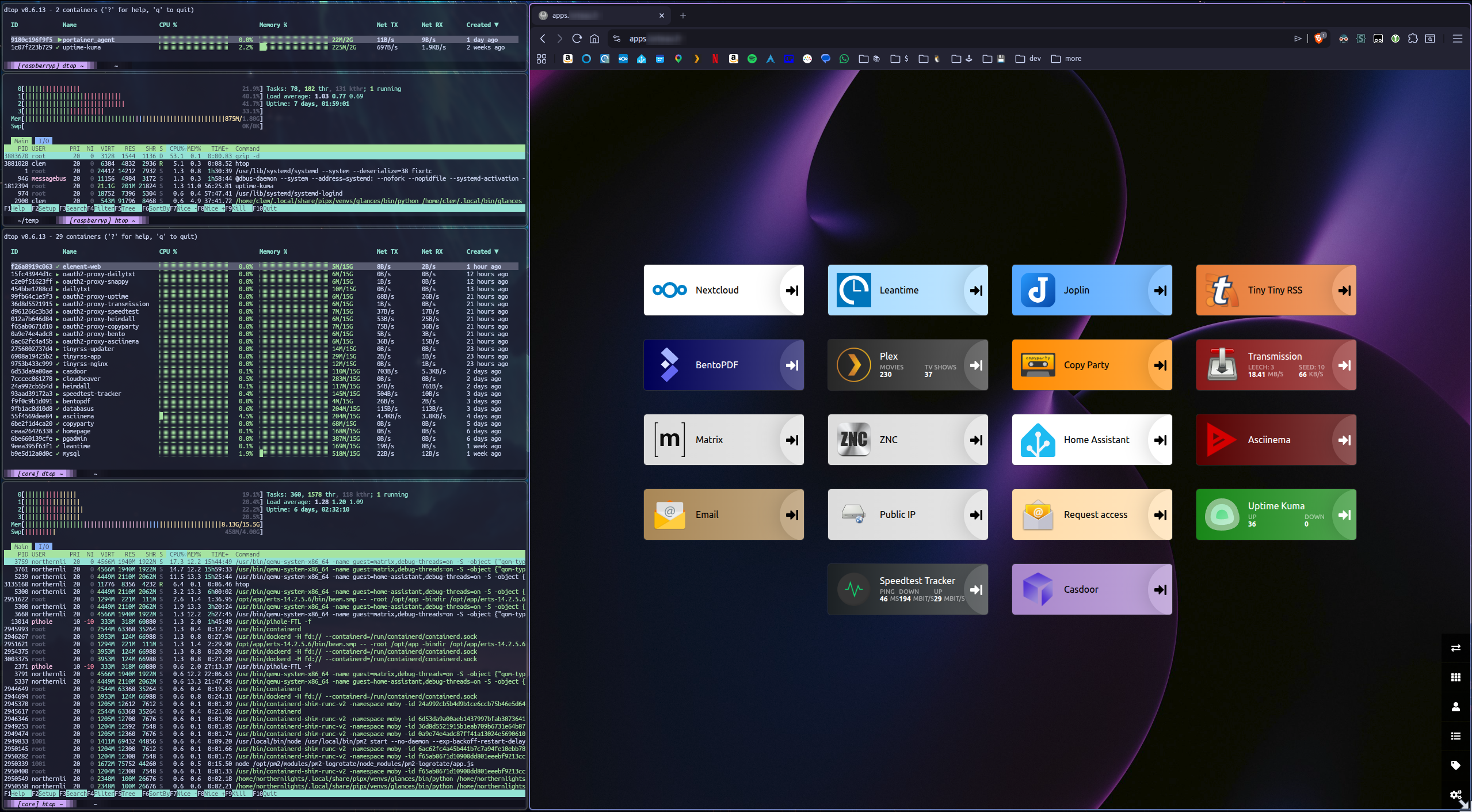 screenshot showing list of hosted apps and resources usage of servers