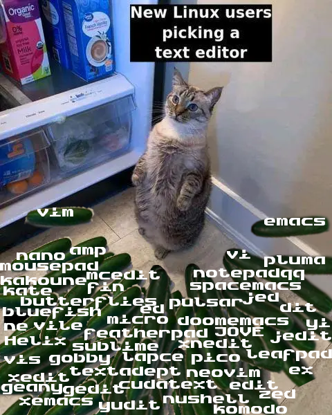 same cat surrounded by dozens of text editor courgettes that look like snakes