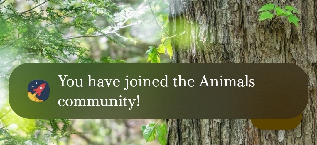 You have joined the animals community