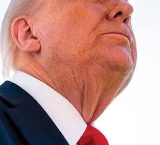 1000004561