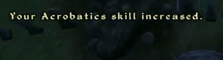Your acrobatics skill increased!