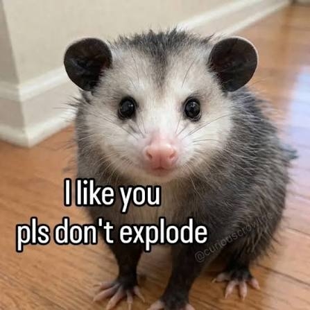5466