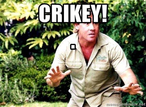 Crocodile hunter saying crikey