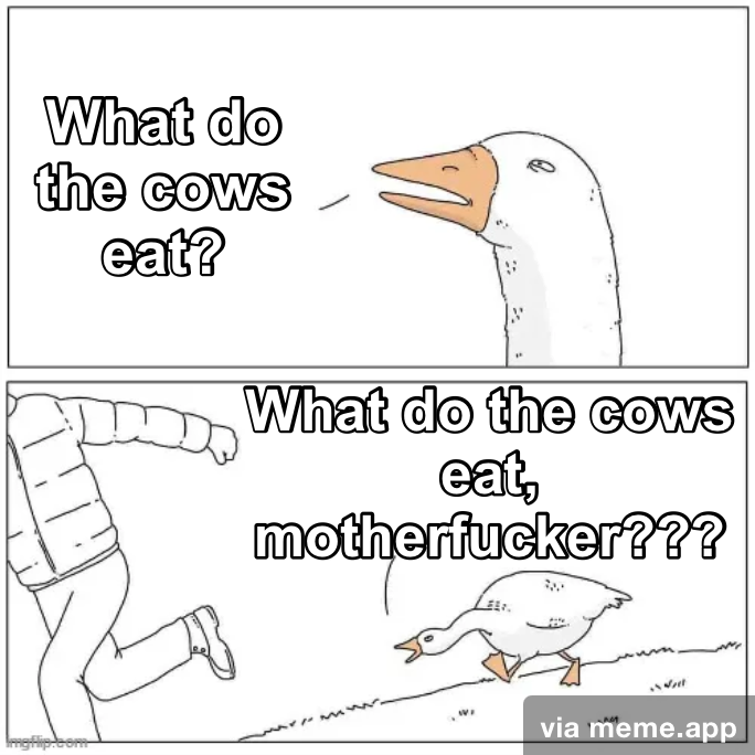 the angry goose meme: in the first panel, an angry goose asks “what do the cows eat?”. In the second panel, the goose is chasing someone asking “what do the cows eat, motherfucker???”