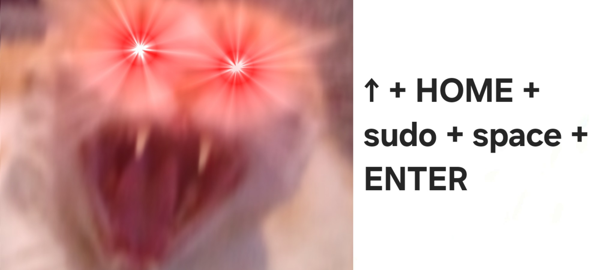 MaNLkfuwl4LB6ck.jpg