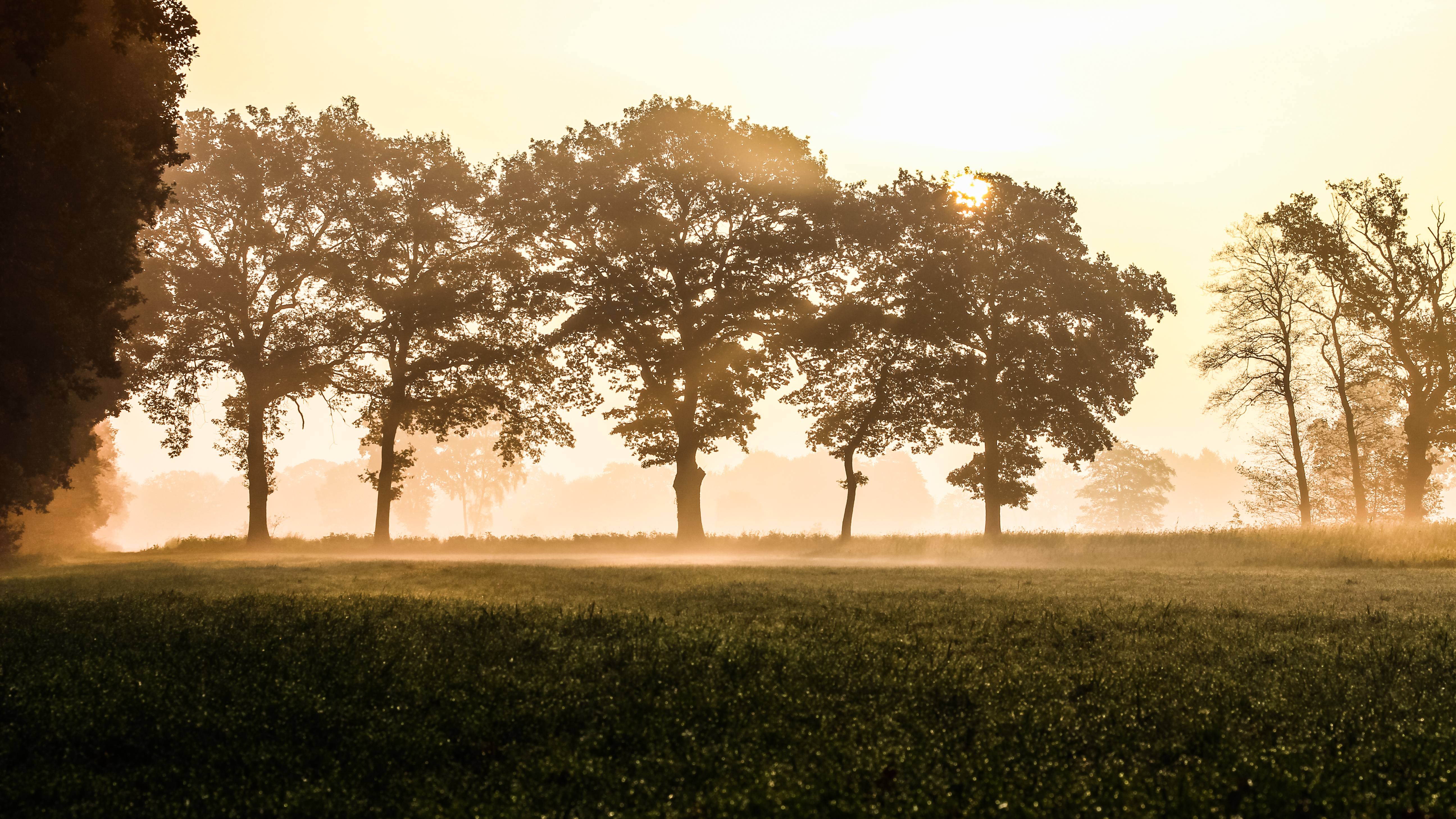 Dülmen, Börnste, Feld