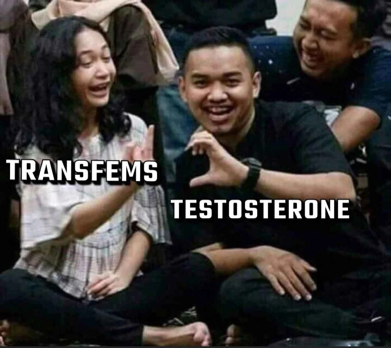 Masculine-read person on the right holding out one hand forming half a heart, labeled as "TESTOSTERONE". Feminine-read person on the left showing middle-finger instead of other half labeled "TRANSFEMS".